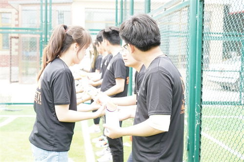 天津企業(yè)拓展訓練與名航企業(yè)管理咨詢服務的協(xié)同增效